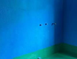 巴宜卫生间测漏水多少钱